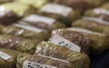 Kaolack : Les éléments de l'OCRTIS ont mis la main sur 150 kg de chanvre indien