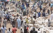 Marché hebdomadaire de Dahra : Deux personnes meurent en 2 heures ce dimanche