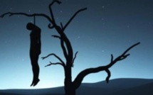Linguère: Un homme âgé de trente ans  retrouvé mort pendu à un arbre