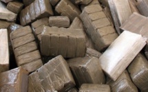 Rufisque: le dealer C.Diallo arrêté avec 224 kg de chanvre indien