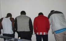 Vols de bétails à Thiès: 4 malfaiteurs arrêtés par la BR, 2 armes saisies