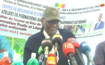 Habib Niang: si la relation entre  Macky Sall et Amadou Ba n'était  plus au beau fixe, le Président n'allait pas réinvestir le PM pour diriger la coalition