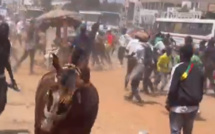 Violents affrontements entre partisans de Diomaye Faye et Amadou Ba aux Parcelles Assainies