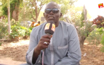 Diomaye Président de la République: Ce qu'en Pensent les Thiessois