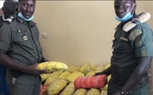 Arrestation d'un taximan dealer à Mbour : Saisie de 37,2 kg de chanvre indien par la police Arrestation d'un taximan dealer à Mbour : Saisie de 37,2 kg de chanvre indien par la police