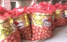 Approvisionnement du marché pour la korité: Allé Ndiaye annonce l'arrivée de 30.000 tonnes d'oignons au niveau local