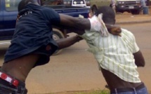 Violente altercation à Yenne : Un berger accusé d'avoir gravement blessé un présumé voleur Violente altercation à Yenne : Un berger accusé d'avoir gravement blessé un présumé voleur