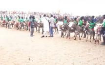 Course des ânes à Thiès Course des ânes à Thiès