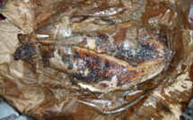 Saraya : Le vendeur de "dibi" décapite son client, son corps retrouvé à 800 mètres derrière les "Niafas" Saraya : Le vendeur de "dibi" décapite son client, son corps retrouvé à 800 mètres derrière les "Niafas"