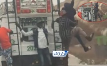 Affaire des « Quatre apprentis cascadeurs » : Arrestations, explications du chauffeur et de son patron révélées Affaire des « Quatre apprentis cascadeurs » : Arrestations, explications du chauffeur et de son patron révélées