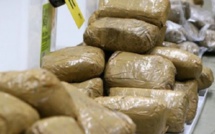 Importante saisie de chanvre indien entre Thiès et Kaolack Importante saisie de chanvre indien entre Thiès et Kaolack