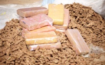 Saisie de 18 Kilos de Cocaïne par la Brigade des Douanes de l’AIBD