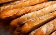 La FNBS plaide pour l'incorporation des céréales locales dans la panification La FNBS plaide pour l'incorporation des céréales locales dans la panification