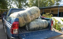 Diamniadio : Importante saisie de chanvre indien par la brigade de Zone Franche Industrielle Diamniadio : Importante saisie de chanvre indien par la brigade de Zone Franche Industrielle