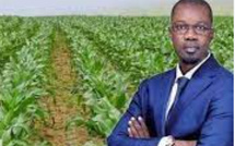 Annonce décisive de Sonko aux paysans : Ce mardi 26 novembre, la surprise du PM Annonce décisive de Sonko aux paysans : Ce mardi 26 novembre, la surprise du PM