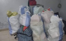 Chanvre indien, armes et munitions : 7 individus arrêtés entre Yarakh et Ouakam Chanvre indien, armes et munitions : 7 individus arrêtés entre Yarakh et Ouakam