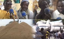 Les paysans de la Petite Côte réclament un meilleur prix pour l’arachide Les paysans de la Petite Côte réclament un meilleur prix pour l’arachide