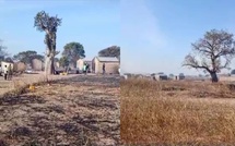 Incendie Dévastateur à Fass Thiékène : Les Habitants Appellent à l’Aide Incendie Dévastateur à Fass Thiékène : Les Habitants Appellent à l’Aide