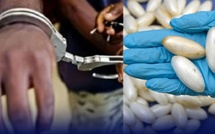 Démantèlement d’un réseau de trafic d’Ecstasy à Ziguinchor : trois arrestations Démantèlement d’un réseau de trafic d’Ecstasy à Ziguinchor : trois arrestations