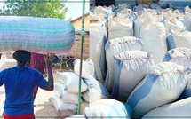 La campagne de commercialisation arachidière 2024-2025 : des défis et des espoirs pour les producteurs de Sédhiou La campagne de commercialisation arachidière 2024-2025 : des défis et des espoirs pour les producteurs de Sédhiou