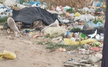 Drame à Thiès: découverte de deux corps sans vie dans des quartiers différents de la commune de Thiès-Nord Drame à Thiès: découverte de deux corps sans vie dans des quartiers différents de la commune de Thiès-Nord