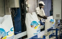 La CSS rassure : des stocks de sucre suffisants pour le marché sénégalais