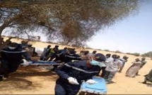 Louga : la dispute entre bergers vire au drame