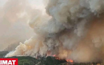 [Avis d'expert] Changement climatique , incendies de Los Angeles : Mbaye Hadj alerte sur la "lourde menace" qui plane sur le monde