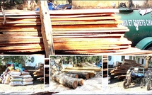 Lutte contre le trafic de bois : 300 millions de FCFA de saisies à Ziguinchor en sept mois