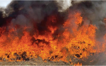 Incendie à Ourossogui : 30 boutiques ravagées au marché central