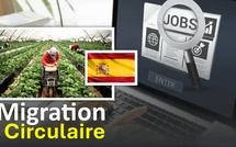 Migration circulaire en Espagne : 24 000 dossiers reçus pour 370 postes