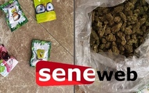 Foirail de Sicap Mbao : 75 képas de kush saisis, l'un des trafiquants dissimule la drogue dans...