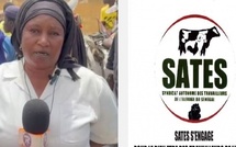 Societe Pour la prise en charge de leurs revendications : Le Syndicat autonome des travailleurs de l'élevage du Sénégal menace de faire grève