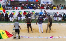 Sport Lutte-Drapeau du Chef de l’État : Ziguinchor accueillera l'édition 2025, 20 ans après