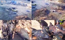 Incendie à Kelle Ndiaye : Dégâts Considérables Mais Pas de Pertes Humaines Incendie à Kelle Ndiaye : Dégâts Considérables Mais Pas de Pertes Humaines