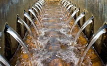 Thiès : Les eaux usées recyclées, un atout écologique pour les maraîchers