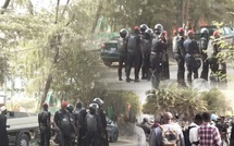 Affrontements devant le Pôle judiciaire financier : Les partisans de Farba Ngom face aux forces de l'ordre