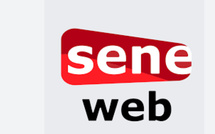 Seneweb victime d’une attaque informatique avec plus de 1,7 milliard de requêtes malveillantes en 10 jours
