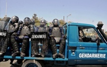 Saisie de drogue et démantèlement d’un site clandestin : vaste opération de la Gendarmerie nationale