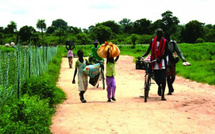 Casamance : Un programme de financement pour les populations déplacées lancé à Ziguinchor
