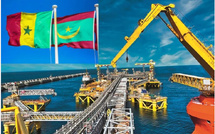 Fuite gaz au large du Sénégal : Greenpeace accuse BP de mépris pour l’environnement