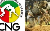 Réunion cruciale sur l’avenir de la lutte sénégalaise à l’Arène nationale Réunion cruciale sur l’avenir de la lutte sénégalaise à l’Arène nationale