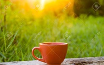 LA MATINALE LA MATINALE