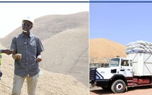 Ziguinchor : la SONACOS enregistre une production record d'arachide dans le Sud Ziguinchor : la SONACOS enregistre une production record d'arachide dans le Sud