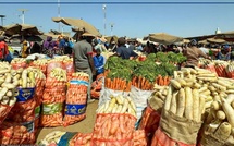 Modernisation du Marché de Notto Gouye Diama : Un Enjeu Majeur pour l’Horticulture Sénégalaise