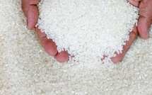 Urgent – Bonne nouvelle pour les ménages : Le prix du riz brisé chute dès le 3 avril
