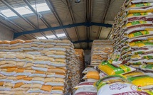 Baisse du Prix du Riz Brisé au Sénégal : Une Décision Gouvernementale en Faveur du Pouvoir d'Achat