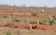 Gestion foncière : L’État immatricule 59 hectares à Kandiou pour une attribution encadrée