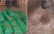 Grosse saisie de drogue à Touba : Le trafiquant cachait du « Yamba » dans son enclos…