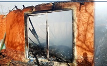 Incendie au Bioparc de Kédougou : trois cases détruites, plus de 20 millions de francs CFA de pertes